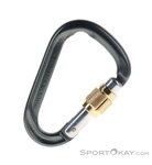 Austrialpin Mini.Mi HMS-Karabiner-Grau-One Size