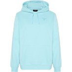 CHIEMSEE Kapuzensweatshirt mit großem Logo-Rückenprint, Größe M in Blau