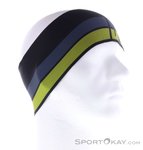 Dynafit Graphic Performance Stirnband-Schwarz-One Size