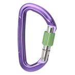 Wild Country - Session Screw Gate - Schraubkarabiner lila