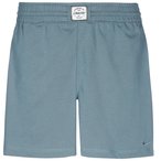 Nike ATHLETIC Funktionsshorts Herren