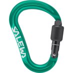 Salewa Ortles HMS M Karabiner  Karabiner gruen Größe One Size Alpinklettern | 