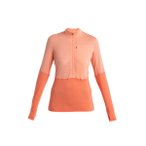 ICEBREAKER Damen Sweatshirts lg.Arm Da Merino 200 Realfleece™ Descender LS Hal
