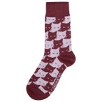 DEDICATED - Socks Sigtuna Pepita Cats - Multifunktionssocken 36-40 rot