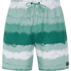 PROTEST Herren Badeshorts PRTHAMSEY, Größe L in Grün