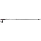 LEKI Herren Alpin-Skistock Carbon 14 3D, Größe 115 in Silber