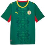 PUMA Herren Shirt FSF Away Jersey Replica, Größe XL in Blau