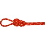 MAMMUT Bergseil 8.0 Alpine Core Protect Dry Rope 50m, Größe 50 in Braun