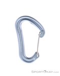 Edelrid Nineteen G Schnappkarabiner-Silber-One Size