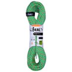 Beal - Tiger 10 mm - Einfachseil Länge 60 m grün