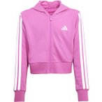ADIDAS Kinder Kapuzensweat Essentials Kids, Größe 152 in Pink