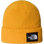 THE NORTH FACE Herren Mütze SALTY LINED BEANIE, Größe ONE SIZE in Orange