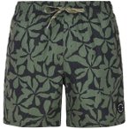PROTEST Herren Badeshorts PRTBaza, Größe S in Grau