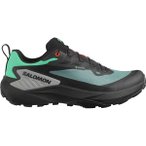 SALOMON Herren Trailrunningschuhe SHOES GENESIS GTX Noat/Black/Shskin, Größe 4
