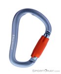 Black Diamond Rocklock Twistlock HMS-Karabiner-Grau-One Size