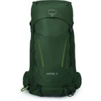 OSPREY Rucksack Kestrel 38, Größe L/XL in Grün