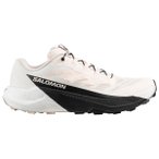 Salomon - Pulsar - Trailrunningschuhe 40 vanilla ice /grau