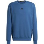 ADIDAS Herren Sweatshirt Designed for Training, Größe L in Blau