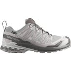 SALOMON Herren Running-Trail-Sch. He/Uni SHOES XA PRO 3D V9 GTX Allo/Clrock/Lunr