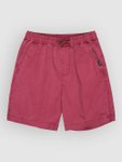 Quiksilver Taxer Kids Shorts burnt russet Gr. T14