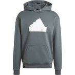 ADIDAS Herren Kapuzensweat Future Icons Badge of Sport, Größe L in Grau