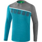 ERIMA Fußball - Teamsport Textil - Sweatshirts 5-C Longsleeve Kids, Größe 164