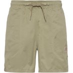 Dickies Pelican Shorts Herren