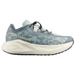 Salomon - Women's Aero Glide 4 GRVL - Runningschuhe 42 stormy weather / vanilla 