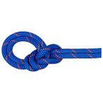 Mammut - 9.5 Crag Dry Rope - Einfachseil Länge 40 m blau