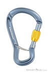Black Diamond Gridlock Screwgate Schraubkarabiner-Grau-One Size