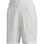 ADIDAS Herren Shorts LONDN 2N1 SHORT, Größe S in Silber