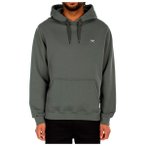 Iriedaily - Mini Flag 2 Hoody - Hoodie Gr M grau