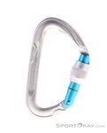Edelrid Pure Screw Karabiner-Grau-One Size