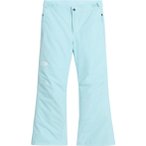 The North Face Kinder Freedom Insulated Skihose ( Hellblau XL)