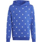 ADIDAS Kinder Kapuzensweat U BLUV HD Q1, Größe 176 in Blau