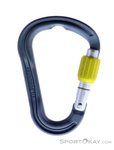 Wild Country Argon Screwgate HMS-Karabiner-Silber-One Size