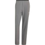 ADIDAS Herren Hose Terrex Multi Liteflex, Größe XS in Grau