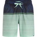 FIREFLY Herren Badeshorts He.-Badeshorts Lucio M Flowline, Größe S in Grün