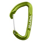 Salewa Hot G3 Wire Karabiner  Karabiner gruen Größe One Size Alpinklettern | E
