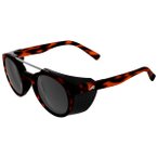 Alpina - Glace S3 - Gletscherbrille schwarz