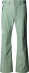 The North Face - Wasserfeste Skihose - M Descendit Pant Slate Moss für Herren -