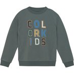 Color Kids Logo Print  Kinder  Pullover gruen Größe 110 Lifestyle  Hautfreundl