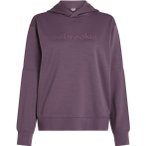 Icebreaker Merino 360 RealFleece Elemental Damen Hoodie ( Grau XS)