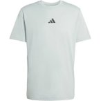 ADIDAS Herren Shirt CLIMACOOL TRAINING IDENTITY GRAPHIC, Größe M in Grau