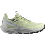 SALOMON Damen Multifunktionsschuhe SHOES ELIXIR ACTIV GTX W Celgre/Glacgr/P, Gr�