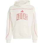 adidas Kinder Stadium Lettering Hoodie ( Beige 128)