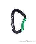 Salewa Ortles Bent Schnappkarabiner-Grün-One Size
