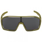 Alpina - Bonfire Cat. 3 - Fahrradbrille grau