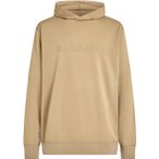 Icebreaker Merino 300 Realfleece Descender Herren Hoodie ( Hellbraun S)
