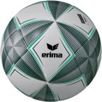 ERIMA Ball SENZOR-STAR pro, Größe 5 in Grün